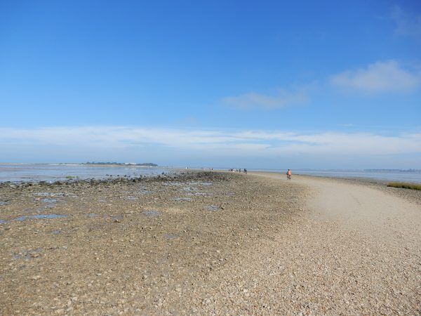 camino paso ile madame francia