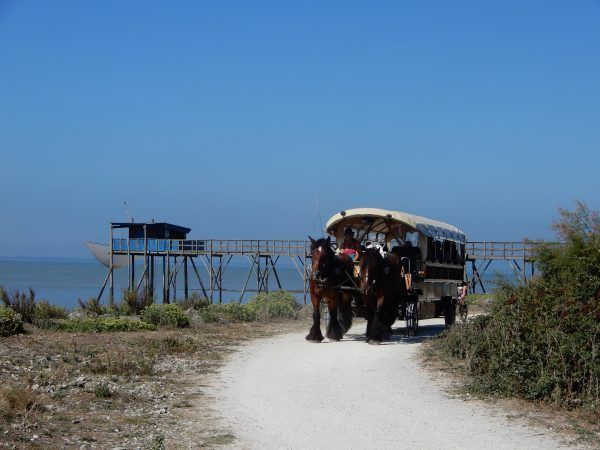 carro caballos ile madame francia