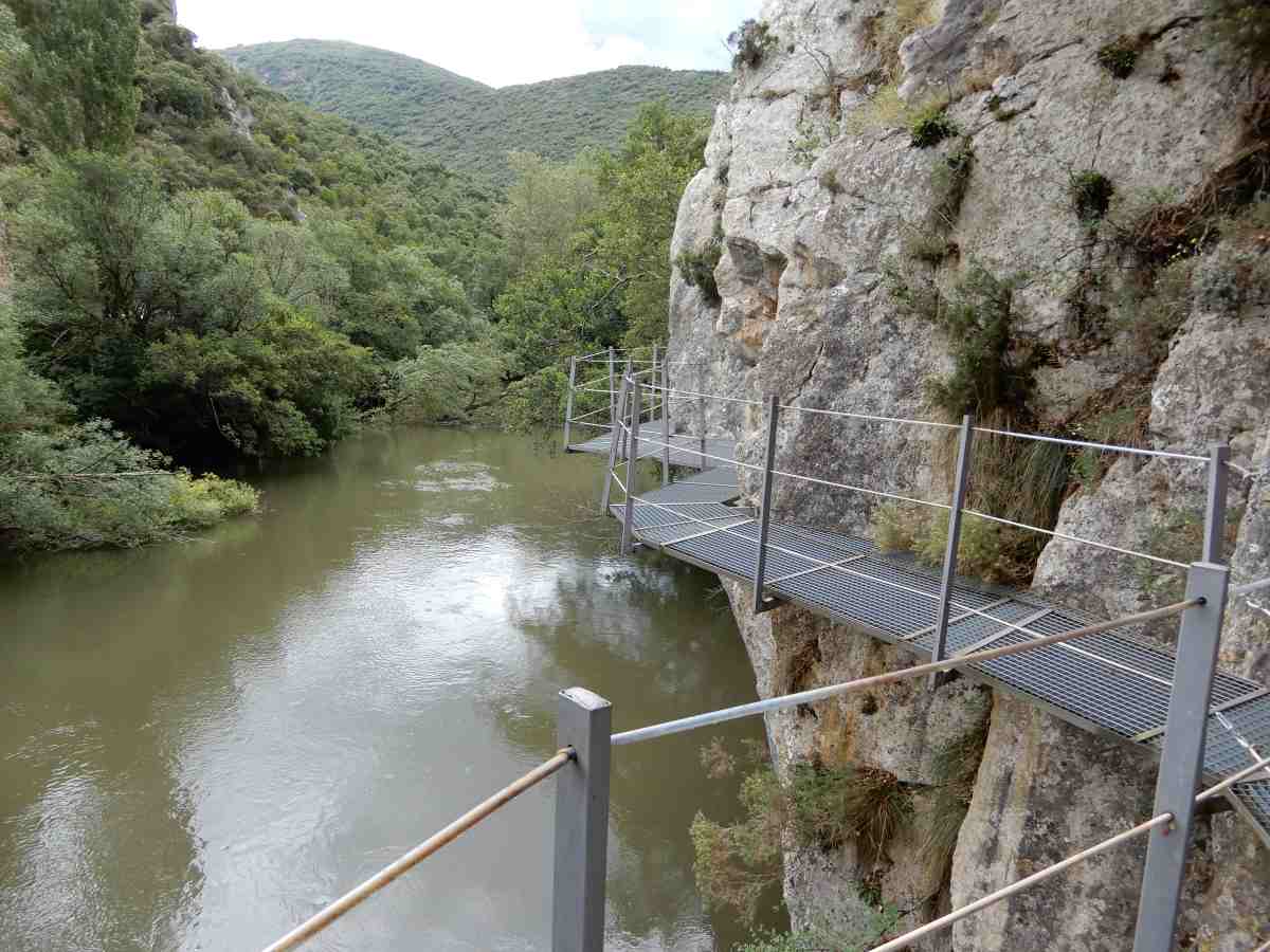 pasarela de los hocinos ebro