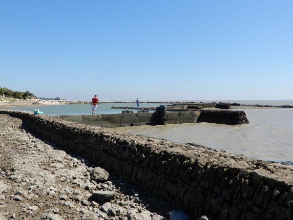 piscina marea port des barques francia