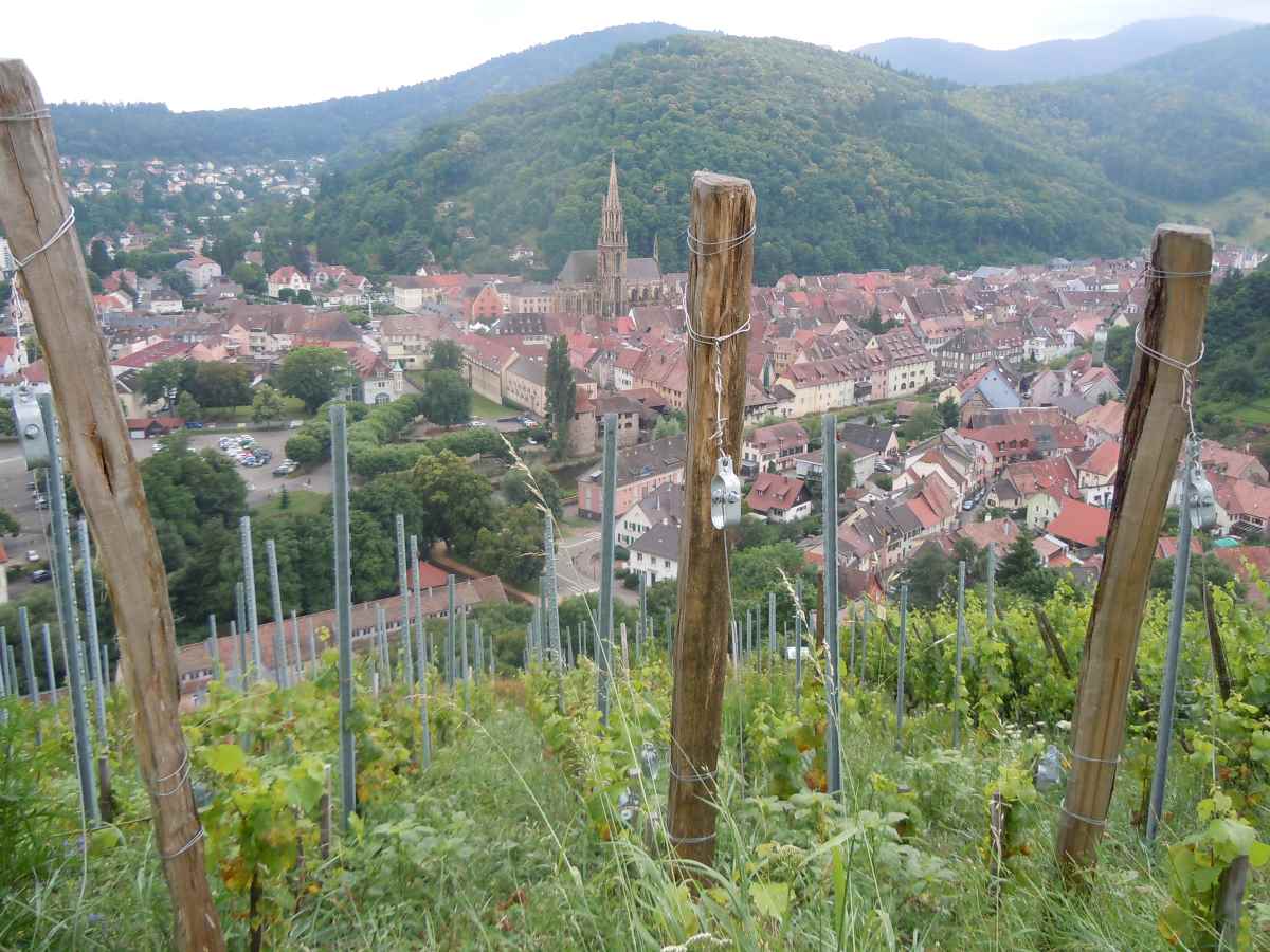 thann beaux detours france