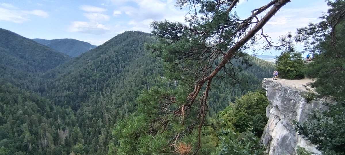 mirador tomasovsky paraiso eslovaco ruta senderismo eslovaquia cingov slovasky raj