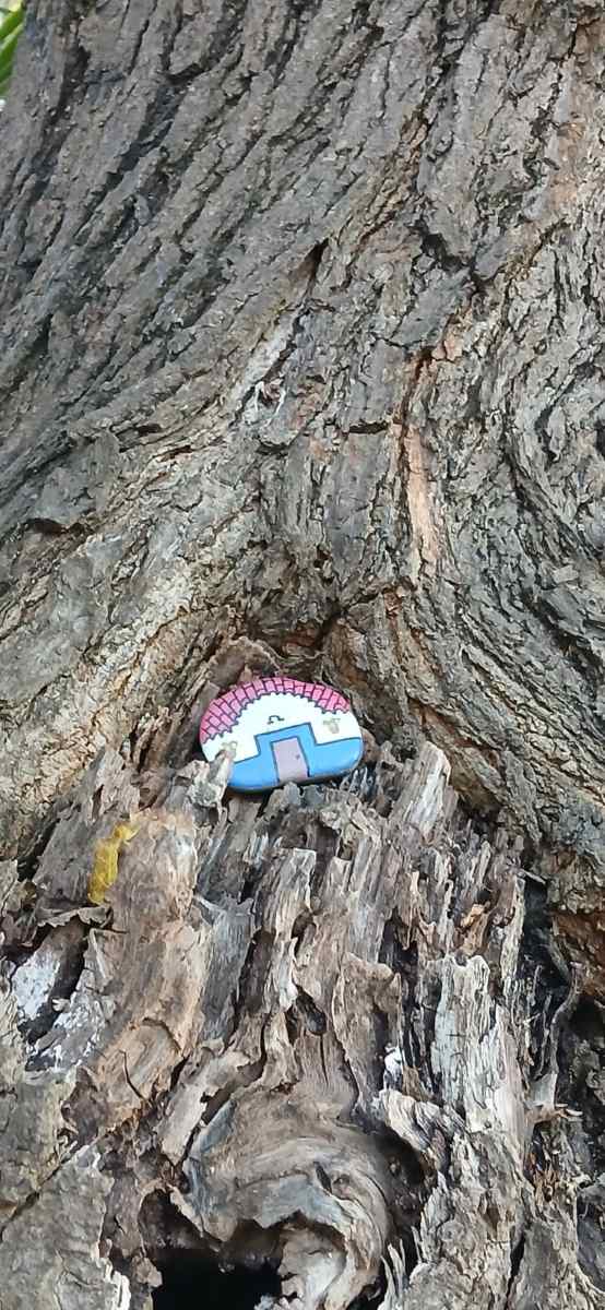 detalle piedra pintada arbol silves cafe ingles