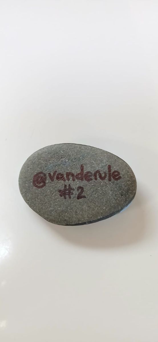 sardina viajera reves