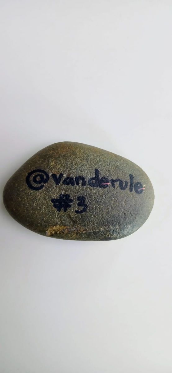 piedra viajera miau reverso dirección