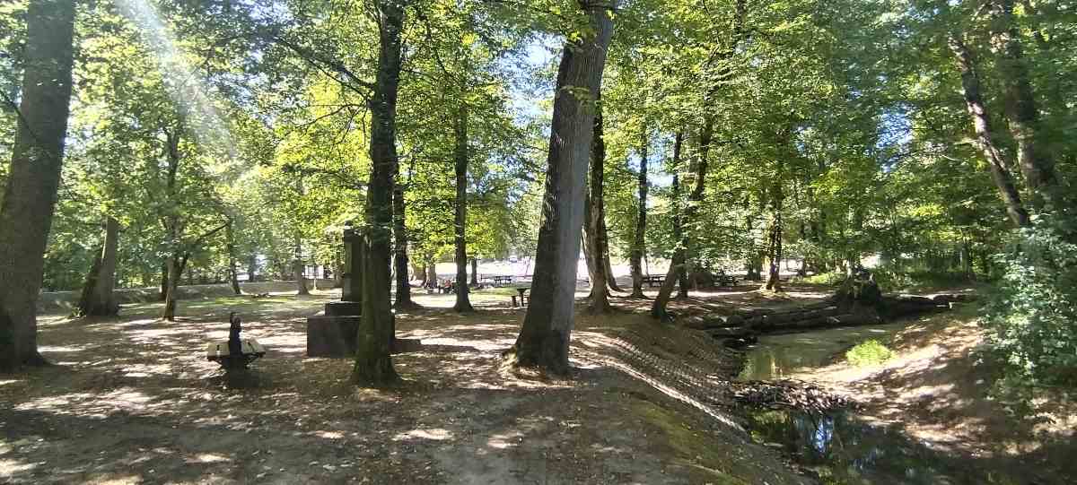 foret haguenau francia rutas senderismo parque