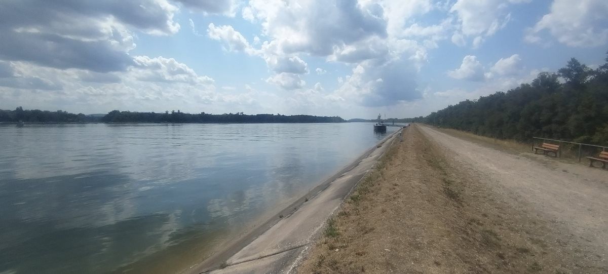 isla rhin francia alemania frontera canal