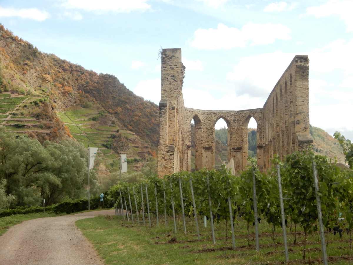 kloster stuben neef viñedos bremmer calmont